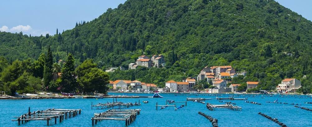 Vila Ruza Ston Exteriér fotografie